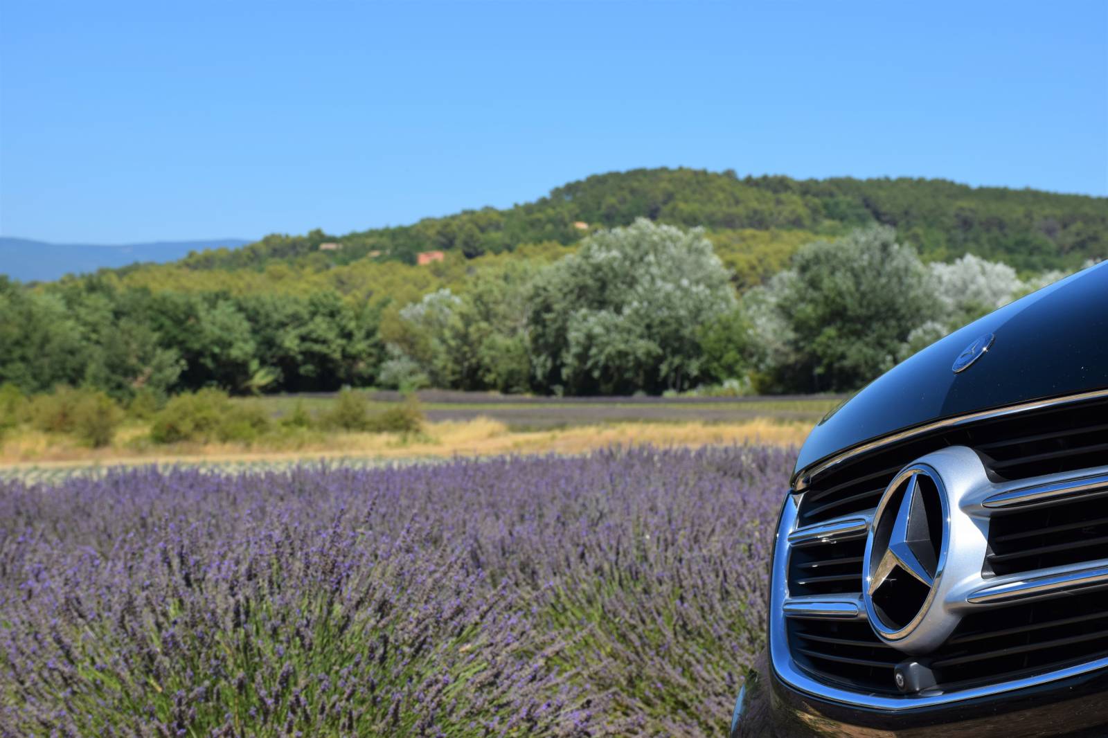 Tours et visites guidées avec chauffeur privé en voiture de prestige