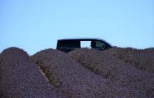 Nos prestations sur le secteur de Saint-Tropez : Chauffeur Privé 